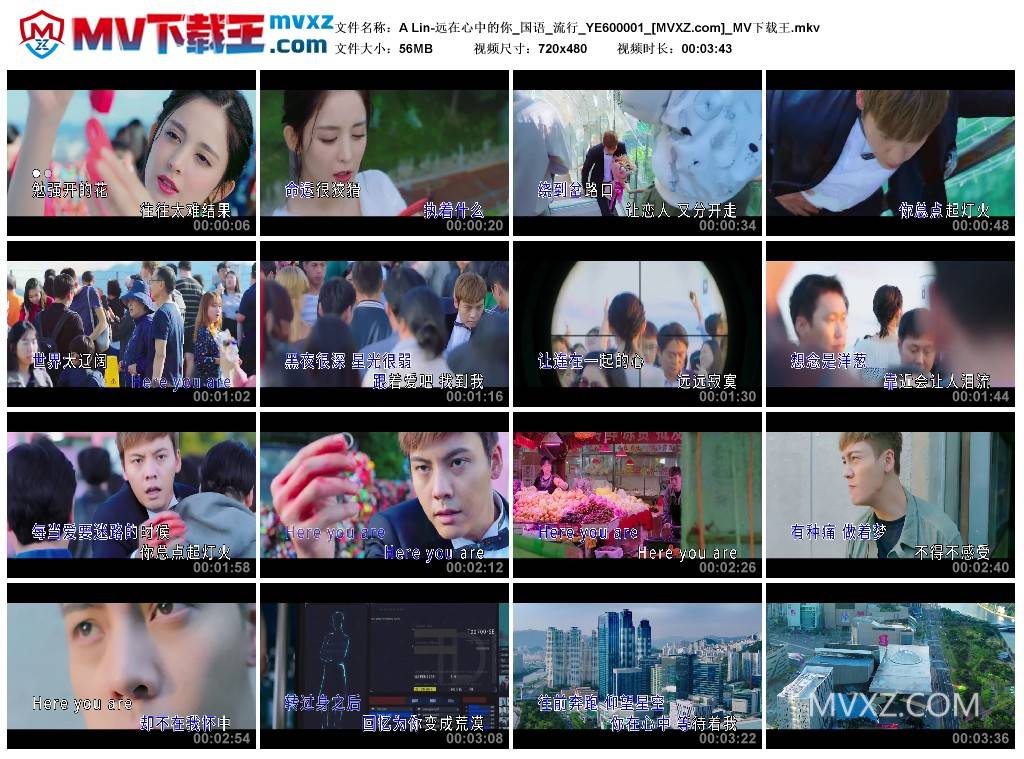 A Lin-远在心中的你_国语_流行_YE600001